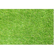 Synthetic Artificial Grass Turf 5 sqm Roll - 35mm
