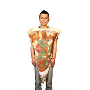 Pizza Slice One Size Fits all Adults Costume