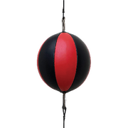 Floor To Ceiling Ball Boxing Punching Bag