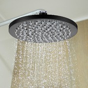 200mm Shower Head Round 304SS Showerhead Electroplated Matte Black Finish