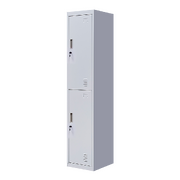2-Door Locker for Office Home Storage Grey