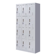 Standard locks 12 Door Locker for Office Gym - Light Grey 