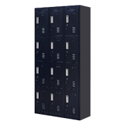 Standard locks 12 Door Locker for Office Gym - Black 