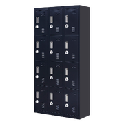 12 Door Locker for Office Gym - Black 