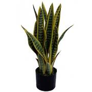 UV Artificial (Faux) Mother In Law Tongue / Yellow Tongue 58cm 7 Stems