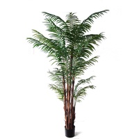 Areca Palm On Raphis Trunk 2.1m