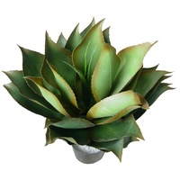 UV Resistant Agave Plant 60cm