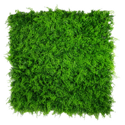 Mediterranean Fern Vertical Garden Uv Stabilised 1M X 1M