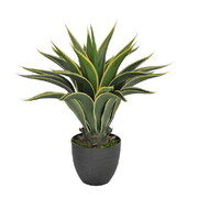 Artificial Agave 60cm