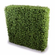 Portable Buxus Hedges Uv Stabilised 100Cm Long X 100Cm High