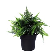Small Potted Fern Plant UV Resistant 20cm