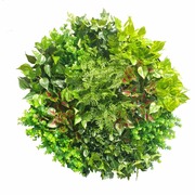 Artificial Green Wall Disk Art 80Cm - Mixed Fern