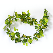 Mixed Yellow And Red Pothos Garland 190Cm