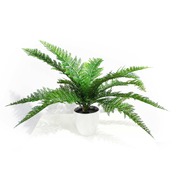 Dense Fern Stem 45Cm