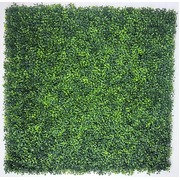 Mixed Boxwood Hedge Panels / Screens Uv Resistant 1M X 1M