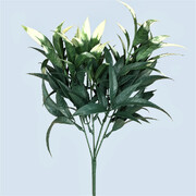 White Tipped Willow Oak Stem Uv Resistant 30Cm