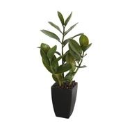 46Cm Potted Zanzibar