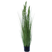 Flowering Native Grass 120 Cm
