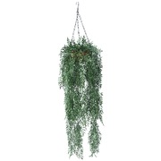 Hanging Fern Basket 110 Cm