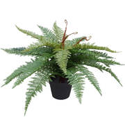 Artificial Potted Fishtail Fern 55Cm
