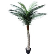 Tropical Phoenix Palm Tree 170Cm Uv Resistant