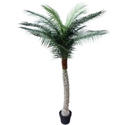 Tropical Phoenix Palm Tree 170cm UV Resistant