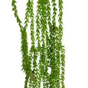 Hanging Dense Wild Grass 100cm