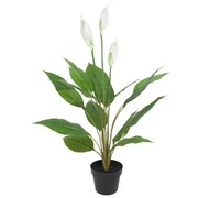 Artificial Flowering White Peace / Calla 95Cm
