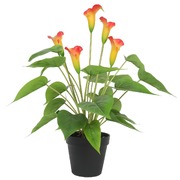 Artificial Flowering White & Orange Peace / Calla Plant 50Cm