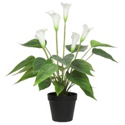Artificial Flowering White Peace / Calla Plant 50Cm