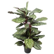 Artificial Wide Leaf Cordyline Plant 90Cm