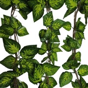 Artificial Pothos / Ivy Hanging Vines 260Cm Each (5 Pack)