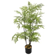 Natural Fern Tree 90Cm