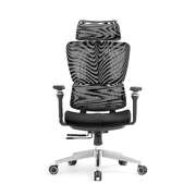 High Back Ergonomic Mesh Office Chair Gas Lift Storage Fabric