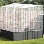 Aviary Silver - Steel