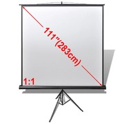 Manual Projection Screen with Height Adjustable Stand     