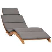 Premium Folding Sun Lounger with Dark Garden Gathering Patio Relax 