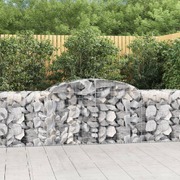 Elegance in Metal: Twin Arched Gabion Baskets