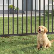Galvanised Steel Garden Fence Panels 12pc | EXTG