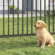 Galvanised Steel Fence Panels 12 Pack Silver | EXTG