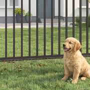 Galvanised Steel Fence Panels 12pcs Silver | EXTG
