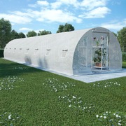 Greenhouse with Steel Foundation 