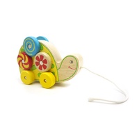 PULL-A-L SPIN PATTERN TURTLE