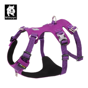 Whinhyepet Harness Purple M