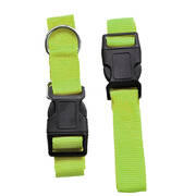 Adjustable Dog Hands Free Leash Waist Belt Buddy Jogging Walking Running Green