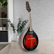 8-String Electric Mandolin
