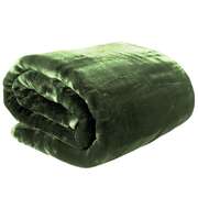 800-GSM Mink Blanket Queen Double-Sided Soft Plush Faux Throw Green