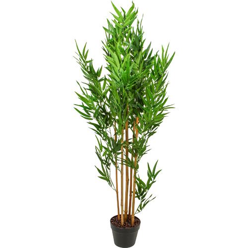 Bamboo Plant 130Cm