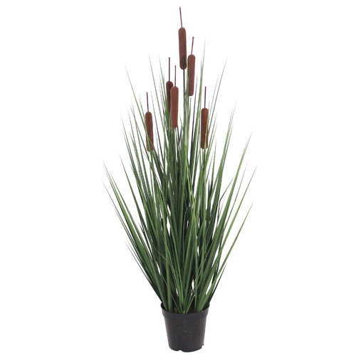 Grass Plant 85Cm