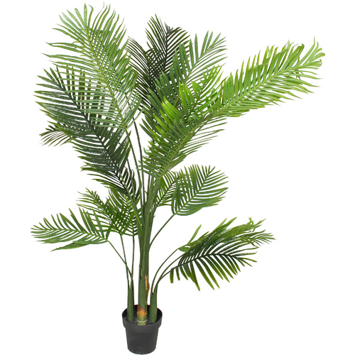 Palm Plant 180Cm